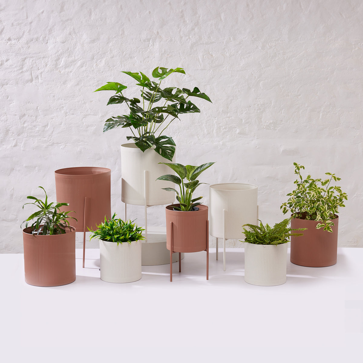 Notch Planter - Small