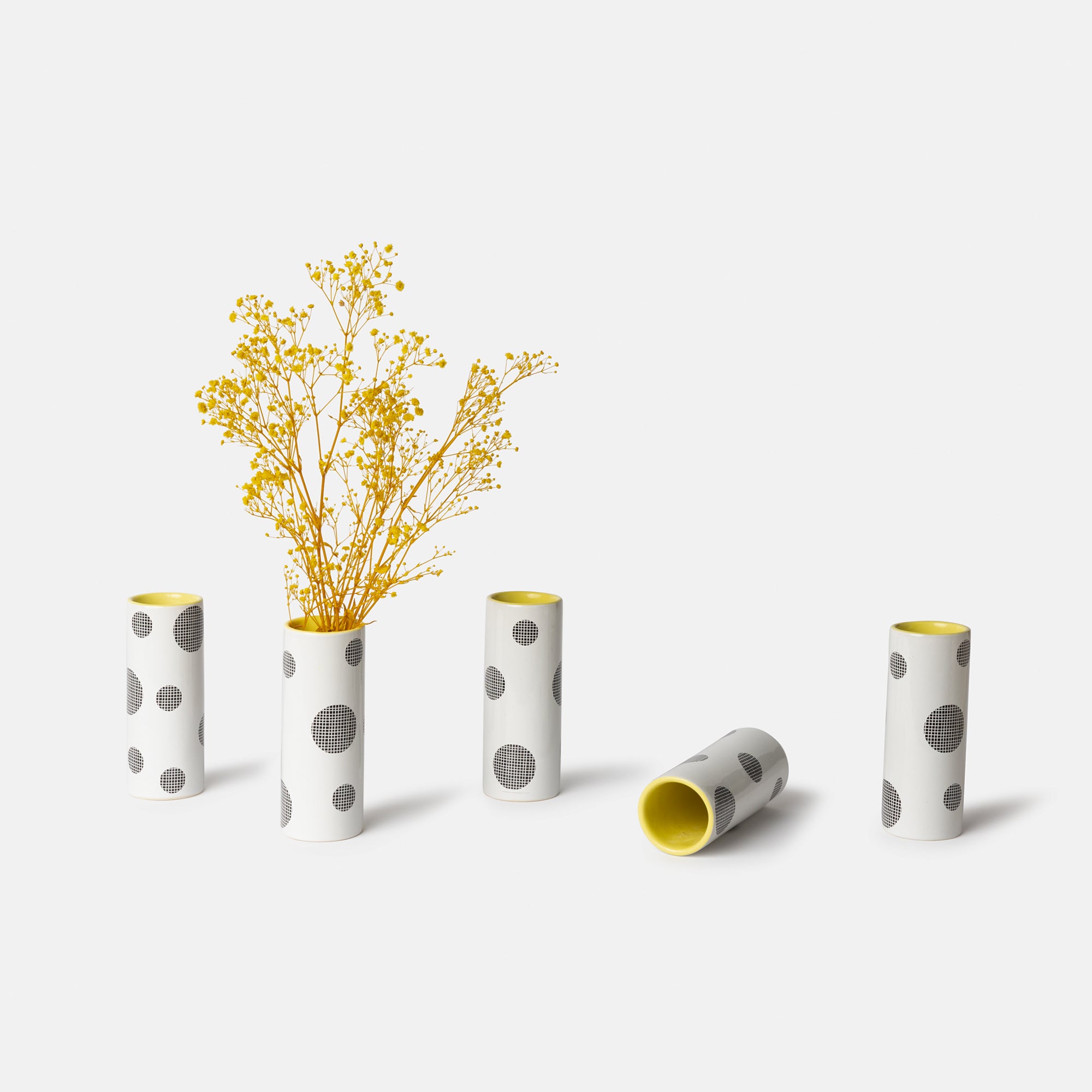 Eterna Preserved Flowers