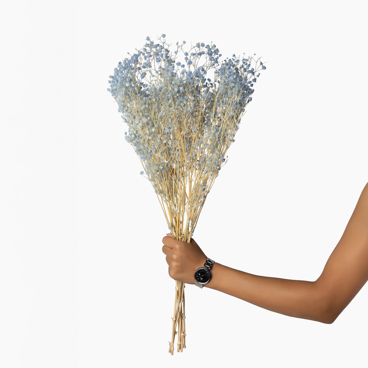 Eterna Preserved Flowers