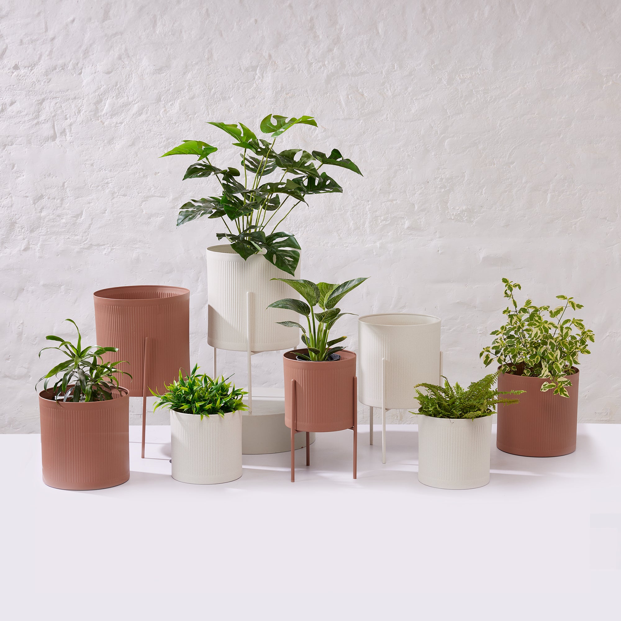 Notch Planter - Small