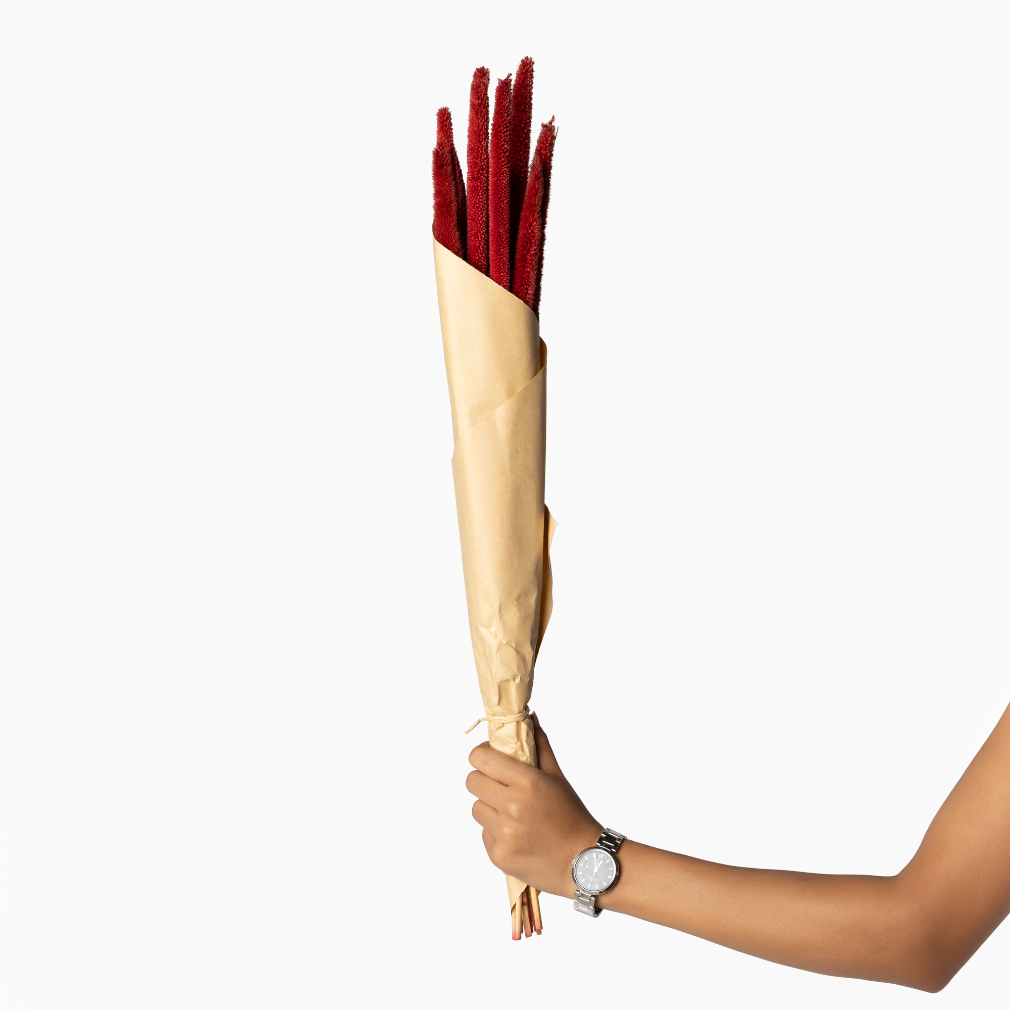 Gypsy Dried Pampas Grass