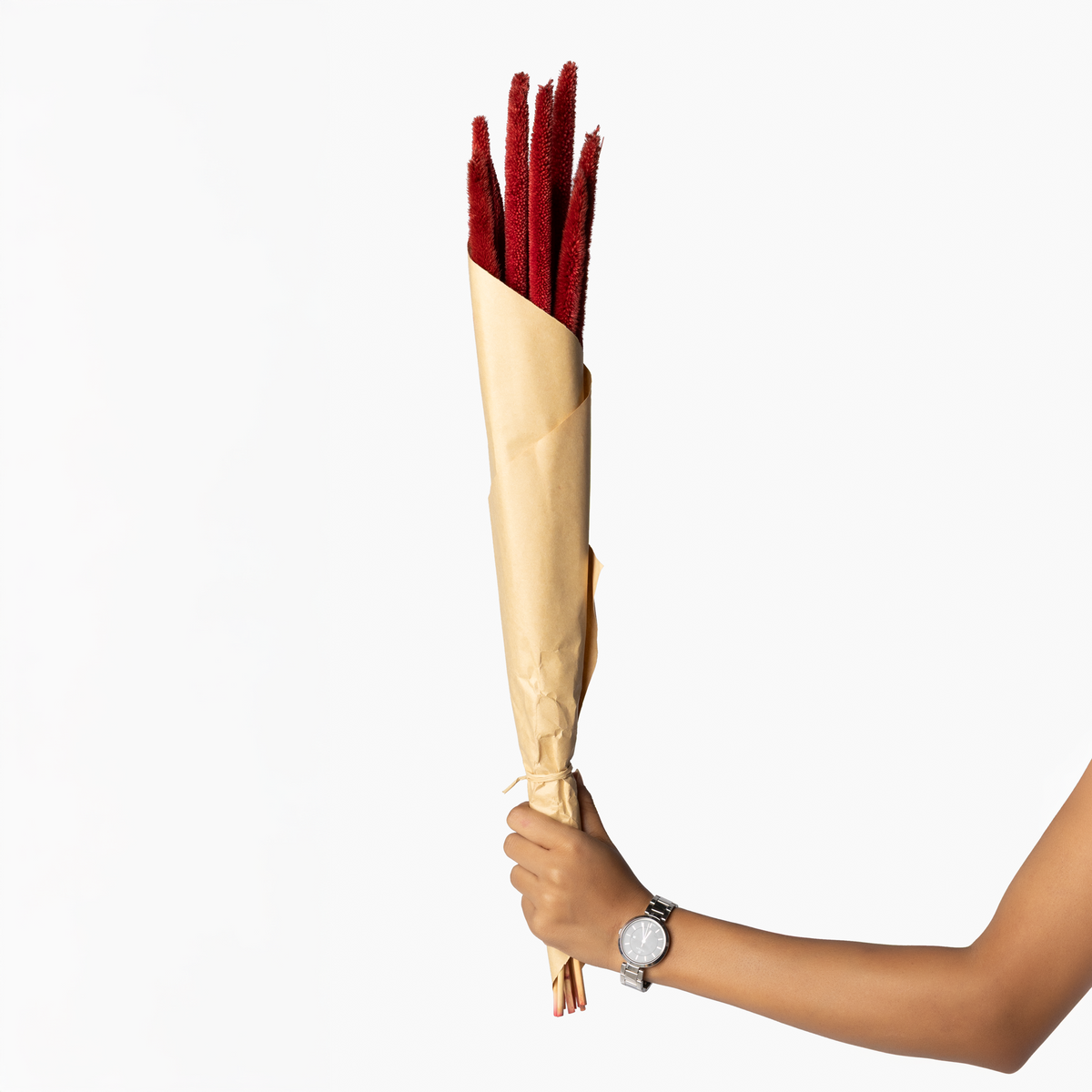 Gypsy Dried Pampas Grass