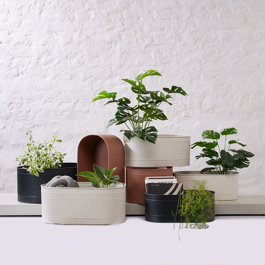 Wish Planter - Small