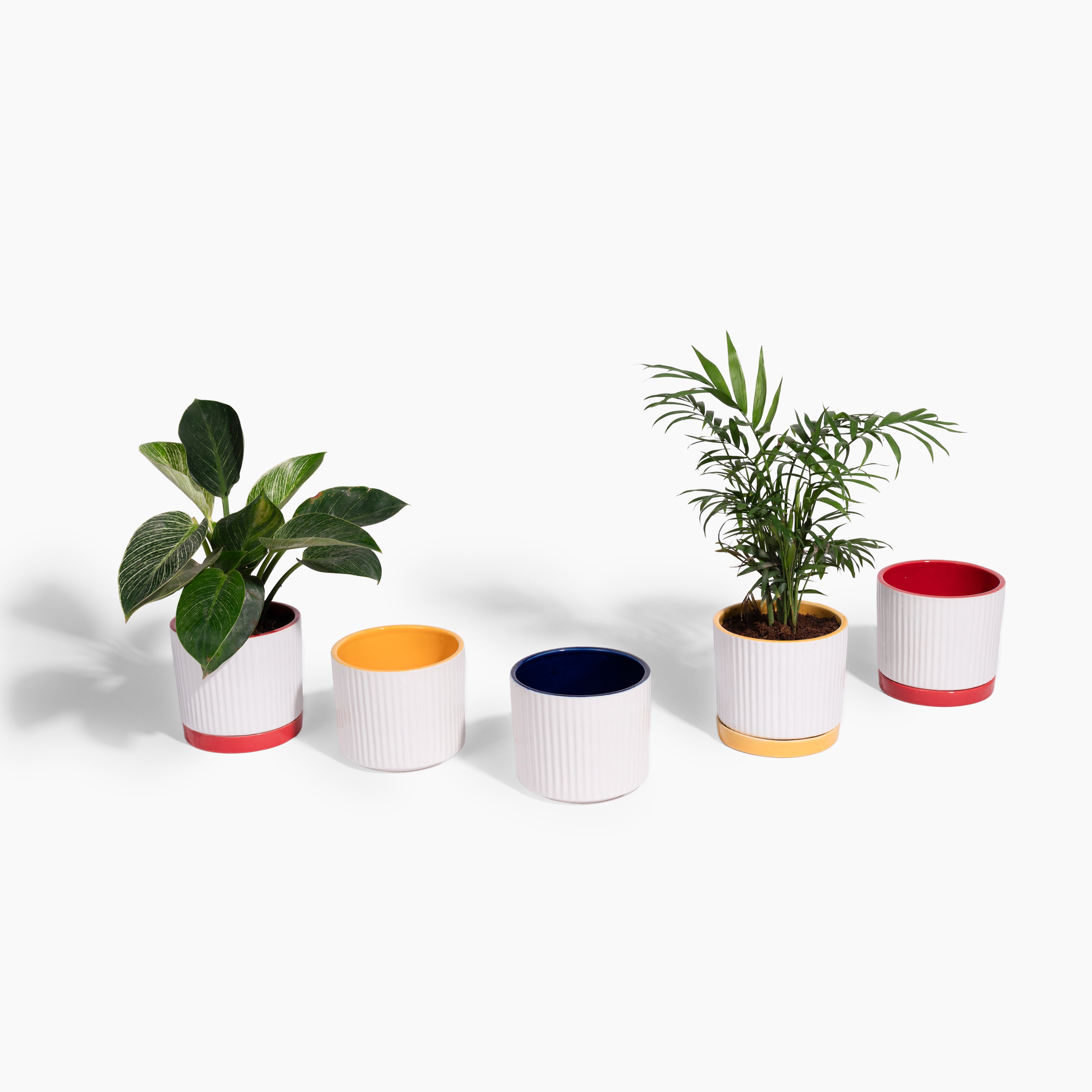 Bauhaus Planter