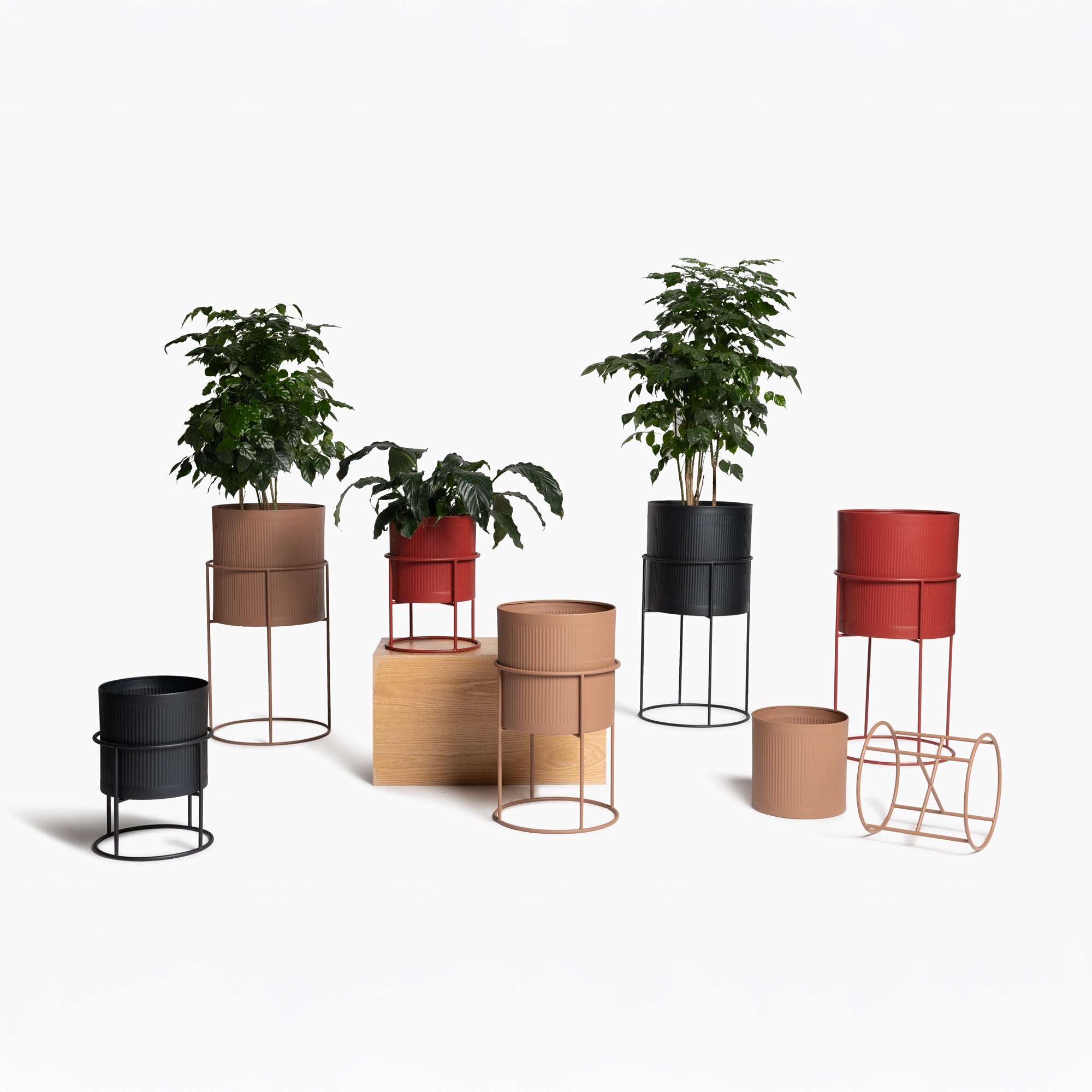 Perch Planters