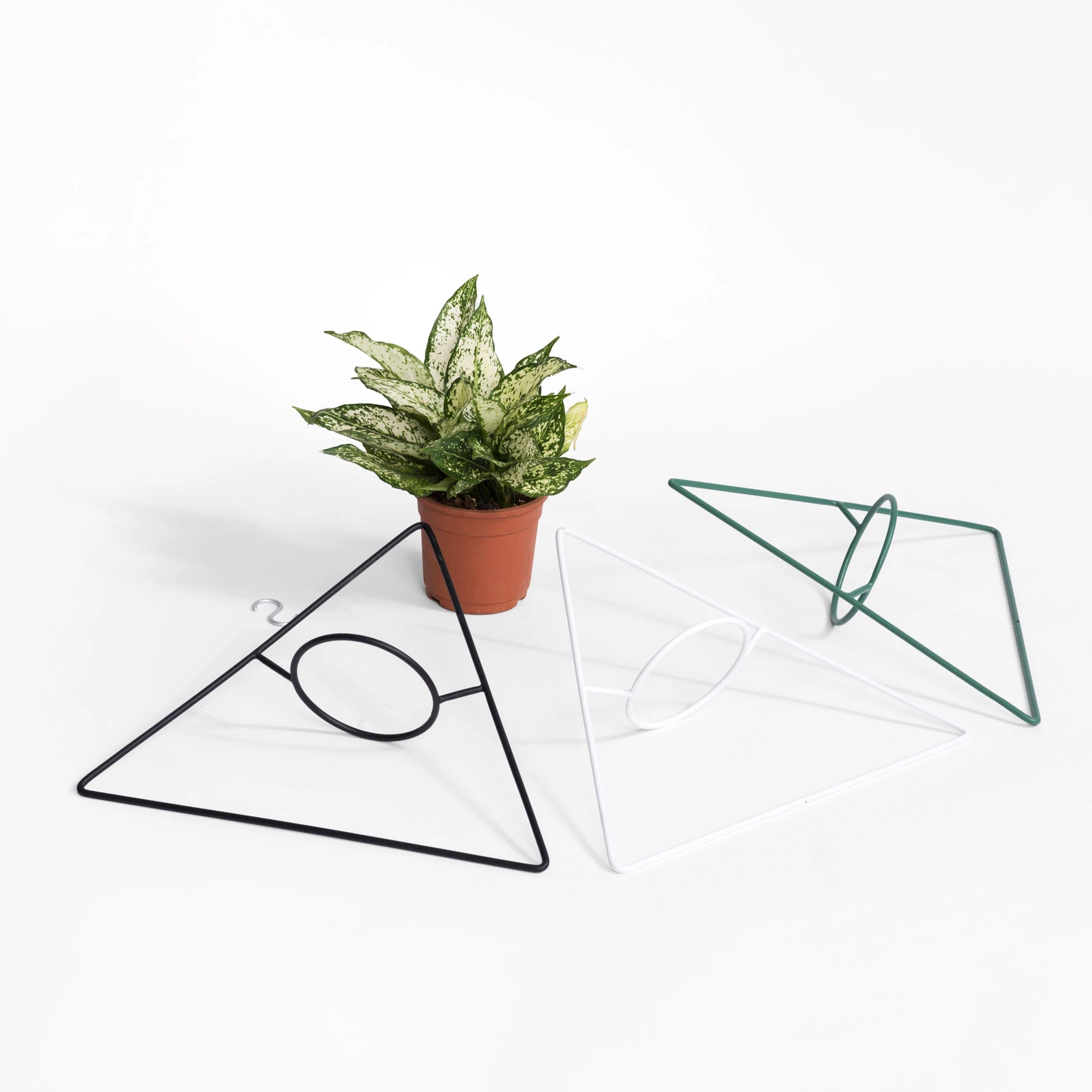 Delta Hanging Planter (Set of 3)