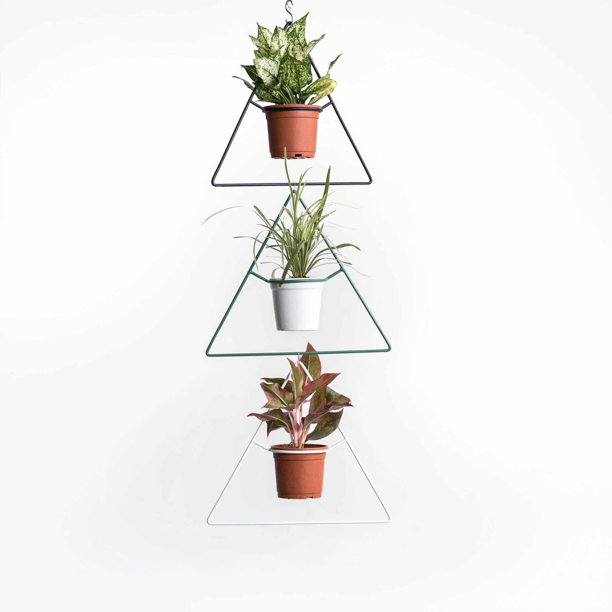Delta Hanging Planter (Set of 3)